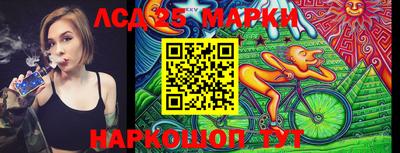 гидропоника Шебекино