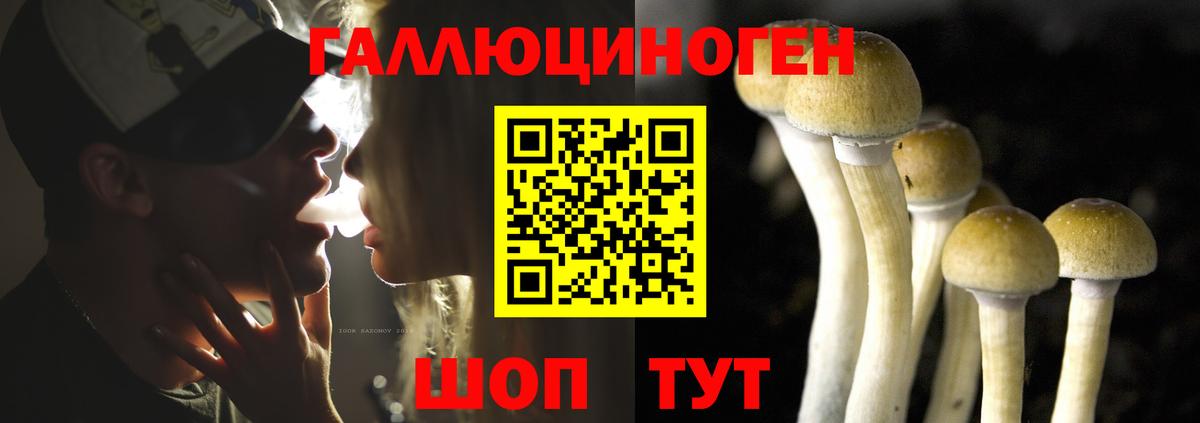 Галлюциногенные грибы MAGIC MUSHROOMS Троицк