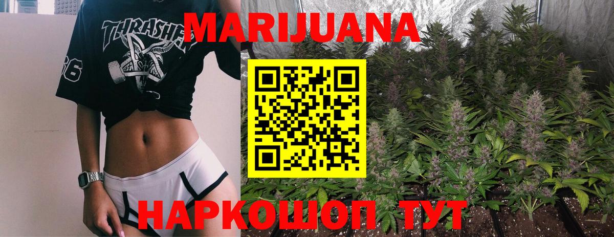 Конопля сатива Троицк